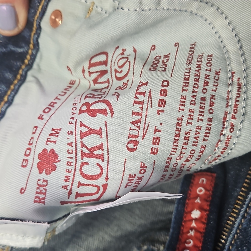 Lucky Legend Blue Patchwork Jeans - image 6